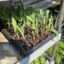 화원농장4 이미지