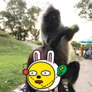 스마트해법수학남원주점 학원 이미지