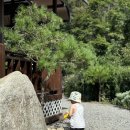 월악여울펜션 이미지