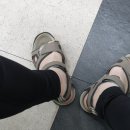 예손정형외과의원 이미지