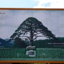 원마루경로당 네이버블로그