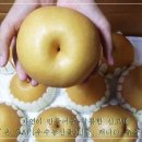 박광수농장 이미지