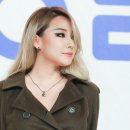 씨엘스포츠 이미지