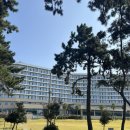 솔식당 | 자은도 씨원리조트 &amp; 솔식당 후기