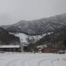 구봉산농장 Daum카페