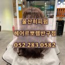 헤어르뽀렘반구점