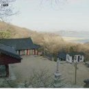 슬기로운유라생활 네이버블로그
