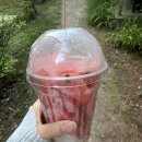 백마오피스 이미지