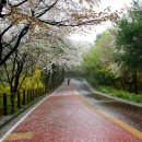 충무초등학교 이미지