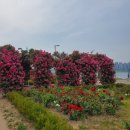 뚝섬한강공원-52 이미지