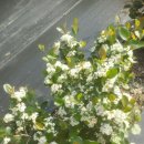 은애농장 이미지