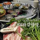 자갈마당 | 안산 맛집여행 : 먹어 본 냉삼집 중 1위 안산 냉삼맛집 88자갈마당 후기