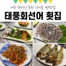 태풍회선어