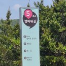 청산 단풍나무길 이미지
