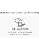 울릉도공항렌트카