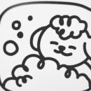 가치있개 반려견 유치원 이미지