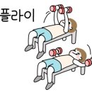 신쌤 피트니스 이미지