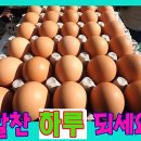 알