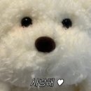 한식집밥 이미지