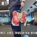 복현정형외과의원 네이버블로그