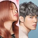 봄, 여름 살롱 이미지