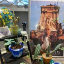 러드웨이브 이미지