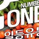 일등유통 이미지