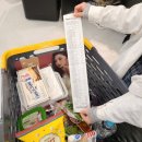 쁘띠몽몽 | [0116] 근황과 뒤늦은 글램핑 후기