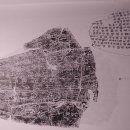 삼행상사 | 漢字의 書體