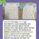 세탁박사 이미지