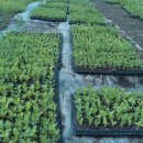 진안슈퍼 이미지