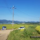 참부동산중개사무소 이미지