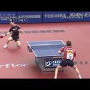 2009 세계탁구선수권 MATSUDAIRA Kenta VS Robert GARDOS 4~6 SET 경기입니다 이미지