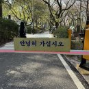 천주산 등산로 입구 | [창원 천주산] 진달래 개화 실시간 ⛰️ 🌸