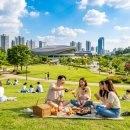 동탄 여울공원 축구장 | 동탄여울공원 나들이, 동탄 여울공원 축구장과 콘서트 즐기는 꿀팁