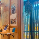 담느루 2 이미지