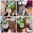 은초록경로당 이미지