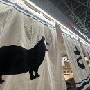 빌딩2 | 후쿠오카 텐진 스시사카바 사시스 원빌딩 오픈런 방문 후기 / 메뉴 추천