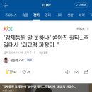 "강제동원 말 못하나" 쏟아진 질타…주일대사 "외교적 파장이.." 이미지