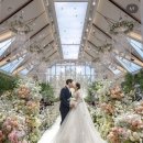 나비아 | 본식스냅 나비아스튜디오 계약후기 짝꿍코드ㅣ까사그랑데 센트로 밝은 홀