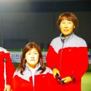 론볼경기장 이미지