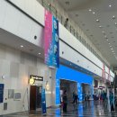 보르미네 | 2025 부산 디자인 페스티벌 &amp; 아트페어 전시 관람후기