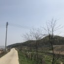 수성최씨 시조묘 이미지