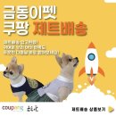 단아한펫 이미지