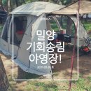 폴라리스야영장 | 경남 애견동반 캠핑장 “밀양 기회송림 야영장”