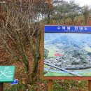 수목원피씨 이미지