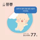 베이비파스텔 - 2455 | 베이비파스텔