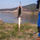 3공단2로-29 이미지