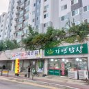 25-8/5-화 자연밥상-아침밥 국립중앙박물관-산책 국립중앙박물관-백일홍꽃 국립중앙박물관-관람 홍콩반점-점심 이미지