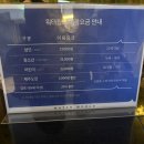 제주월드컵경기장(1층) | [제주 서귀포] 서귀포 여행지 추천 | 제주월드컵경기장 워터 미디어 테마파크, 워터월드